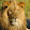 Walter Kambulow Walter Kambulow's profile photo