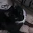 Kitt D. review