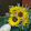 JeanAnn Hurst JeanAnn Hurst's profile photo