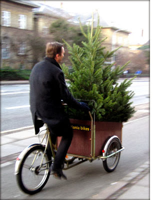 Christmas tree delivery London