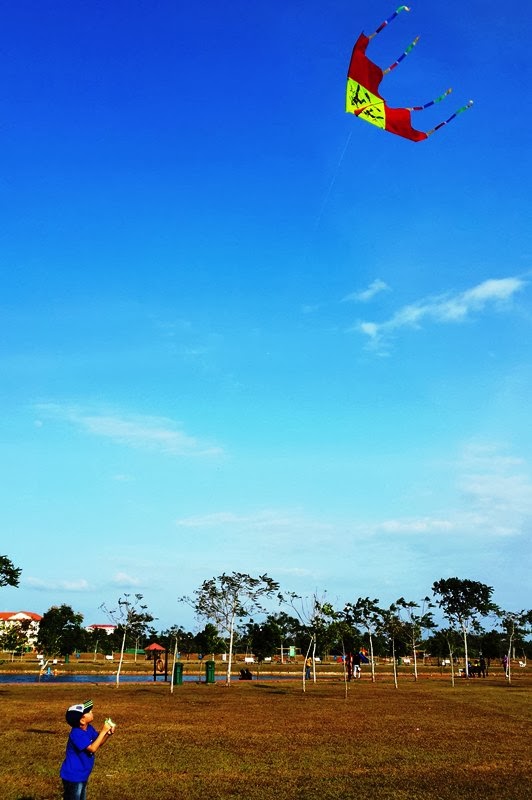Fly High, My Kite