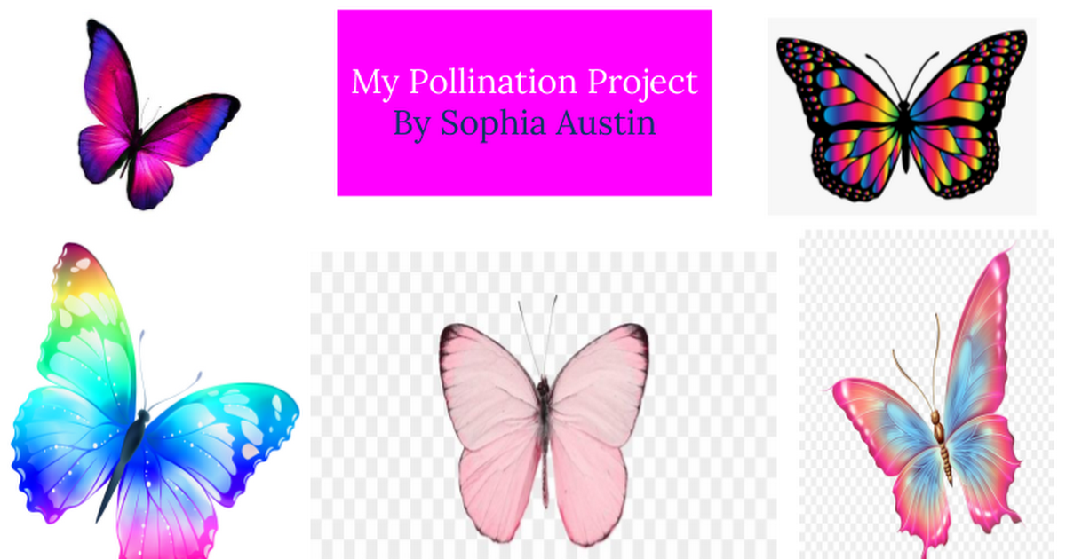 Click Here for My Pollinator Garden Plan by SA