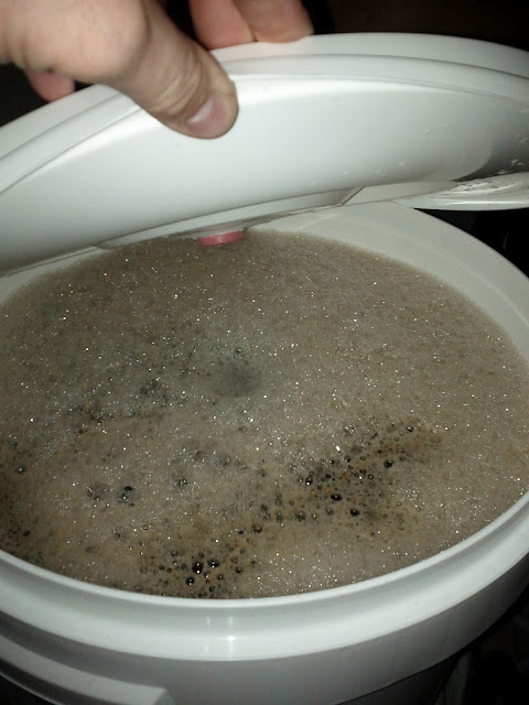 Ferment under way Ferment under way
