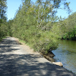 Walking alongside Mooney Mooney Creek (373747)