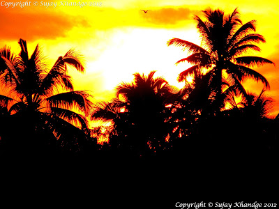 Sunrise from house boat in kerala