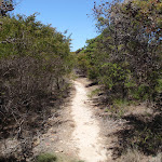 Track through the heath (104365)