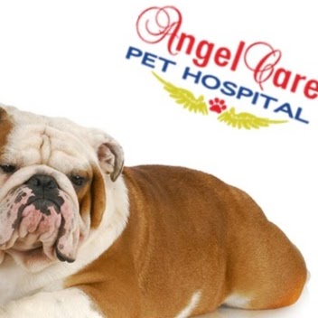 Angel Care Pet Hospital logo