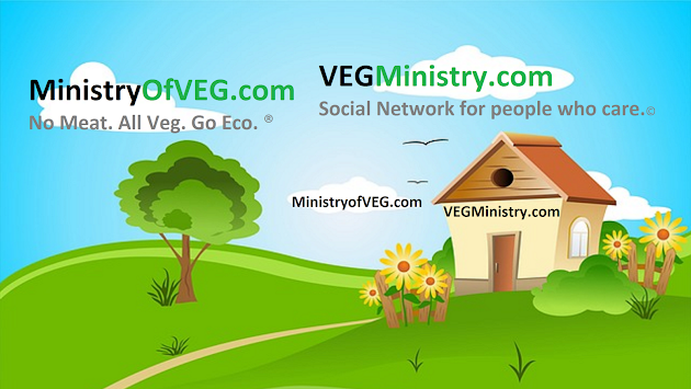 Cover photo