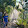 Tomorn Wongtibet Tomorn Wongtibet's profile photo