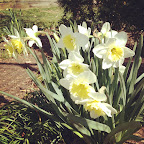 Thumbnail image for 5 Things I’m Excited About This Spring!