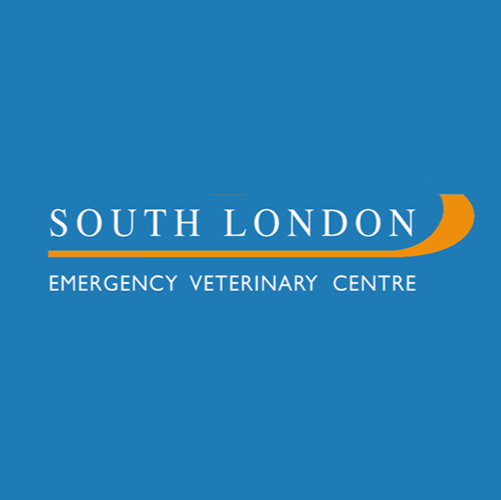 South London Emergency Veterinary Clinic
