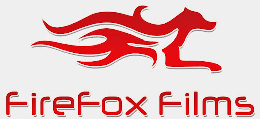 FireFox Films, C-550, Block C, Vikaspuri, Delhi, 110018, India, Film_Production_Company, state DL