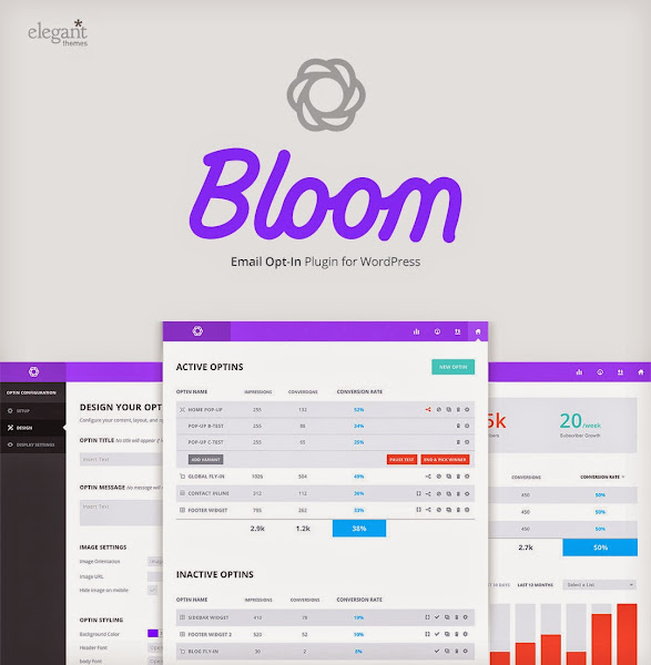 Elegant Themes Bloom Upcoming Email OptIn Wordpress Plugin.