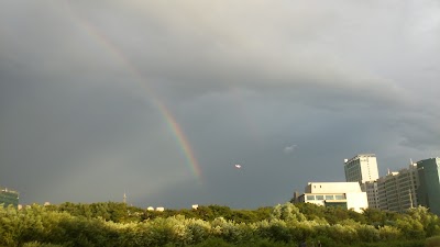 Photos of 맴돌공원
