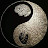 Jason Dyer avatar image