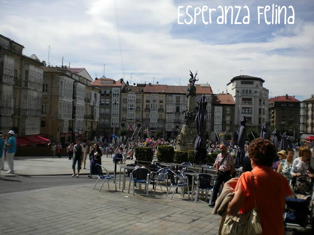 Esperanza Felina en "El Mercado de La Almendra" en Vitoria - Página 9 DSCN5395
