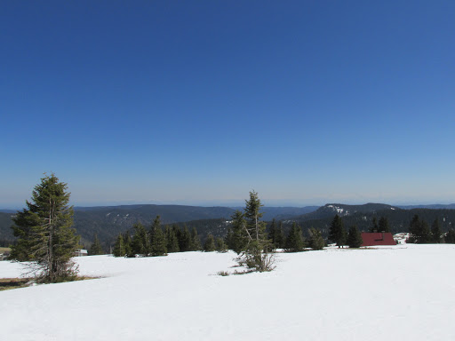 Feldberg