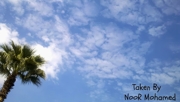 Cover photo
