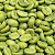 Green Coffee Bean Extract Diet Facts