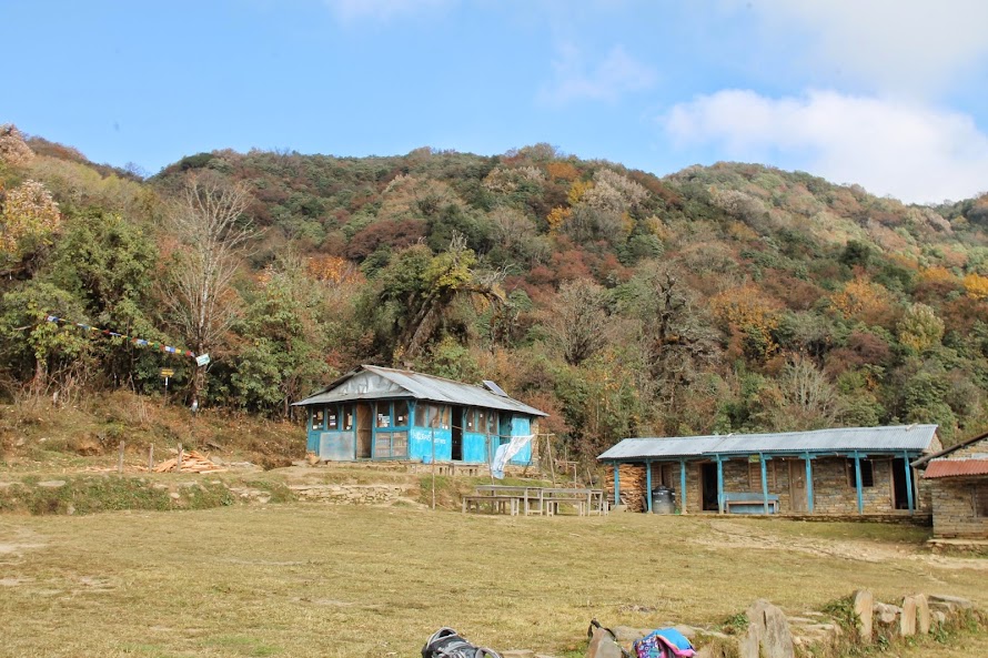 У кого нет времени - трек Mardi Himal BC