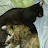 Hannah Knowlton avatar image