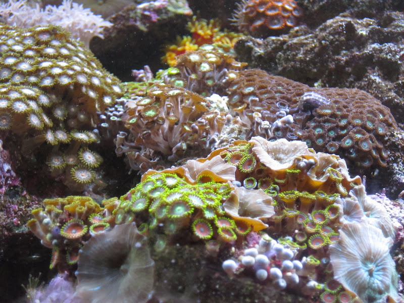 IMG_0121.JPG