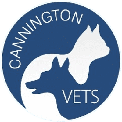 Cannington Veterinary Hospital logo