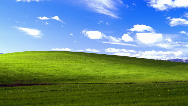 Cover photo