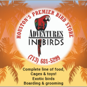 Adventures In Birds logo