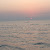 Shifa
