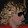 Christian Schneider Christian Schneider's profile photo