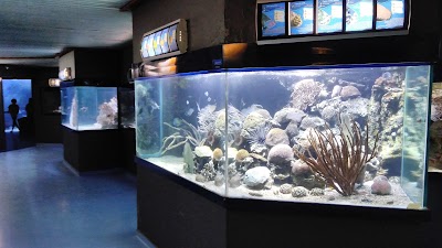 photo of Aquarium of Guadeloupe