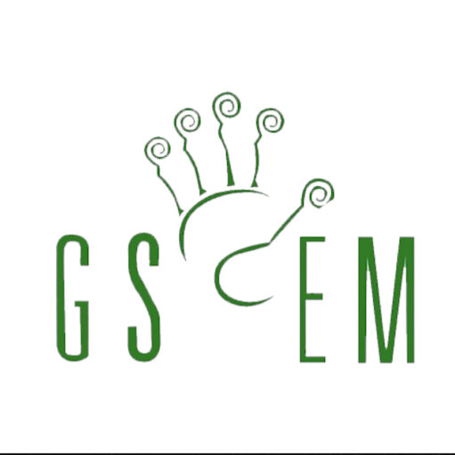 GS-EM Ajans logo
