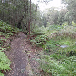 Track down Magdala Gully (146280)