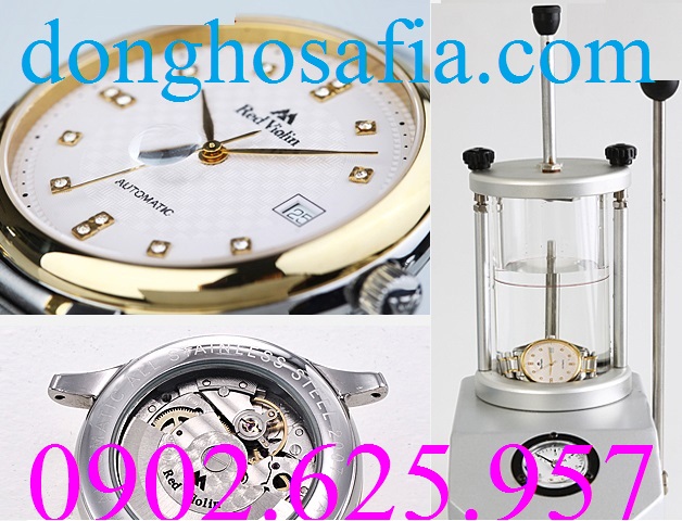 Đồng hồ nam cơ Red Violin CQ4813 RV002