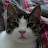 Kat Vesom avatar image