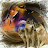 Cindi Freeman avatar image