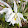 Stephen Van Kampen-Lewis Stephen Van Kampen-Lewis's profile photo