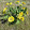 Ljiljana Penuela Ljiljana Penuela's profile photo