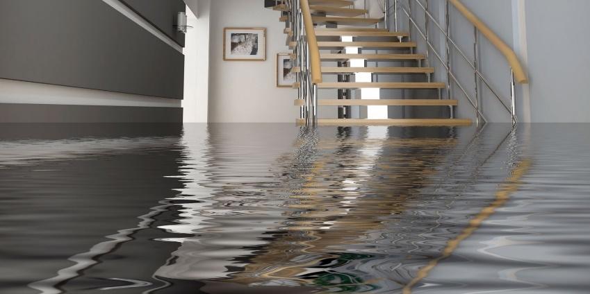 A picture containing floor

Description automatically generated