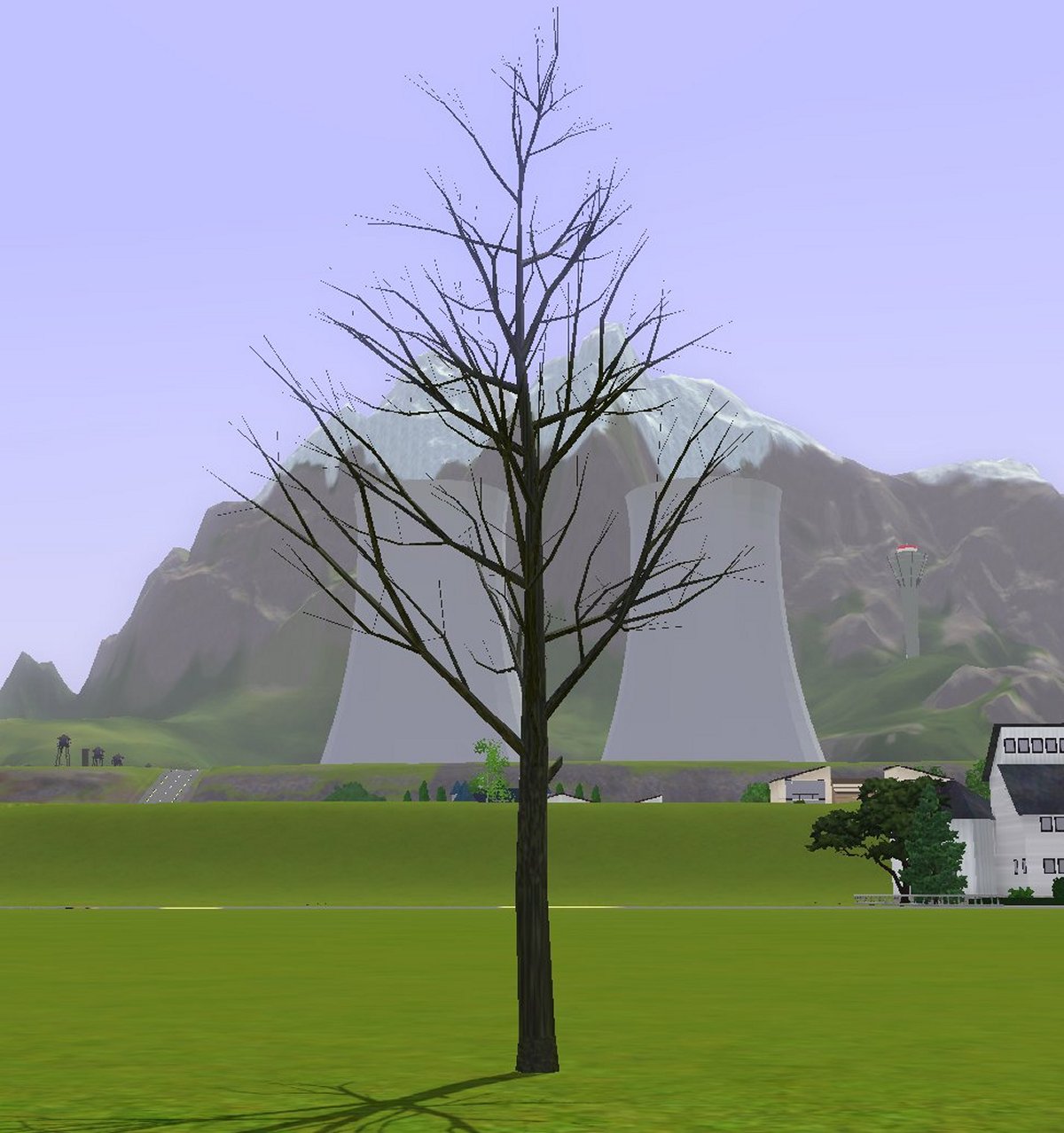 Simming In Magnificent Style Tree Without Leaves