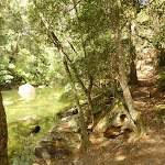 Beside Sams Creek (331325)