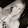 Lisa Müller Lisa Müller's profile photo