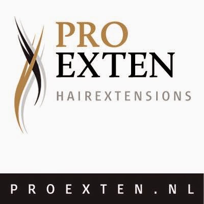 Pro Exten Hairextensions logo