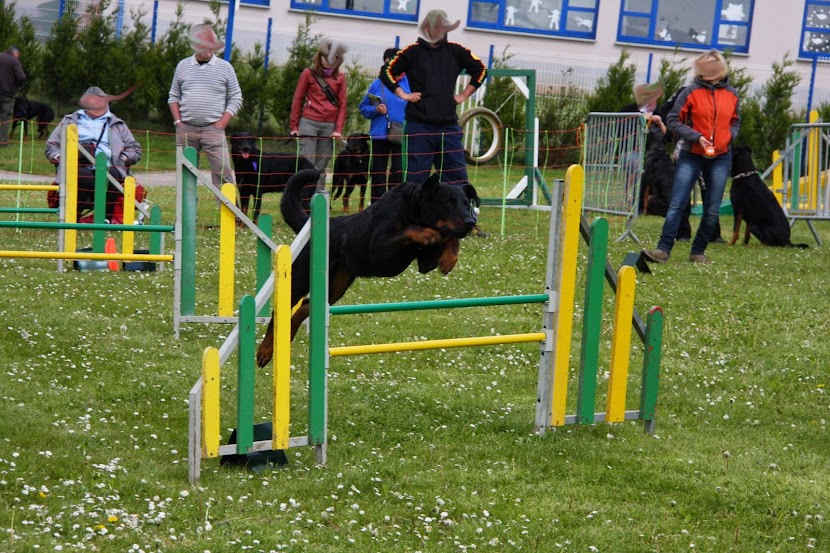LE BEAUCERON - Page 7 IMG_8861