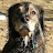 Lori Harper avatar image