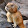 Sophie D. Sophie D.'s profile photo