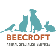 beecroft surgical