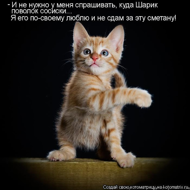 Ни дня без улыбки: последняя в июне... Ни дня без улыбки: последняя в июне...