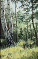 Лето, березы art, painting, живопись, масло, рисунки, Валерий Каренгин,